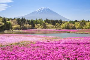 Fun Facts About Spring