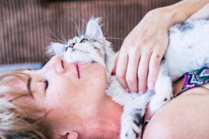 therapy cat