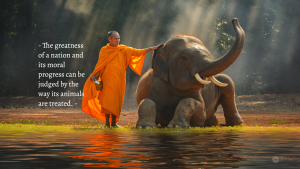 conscious quotes