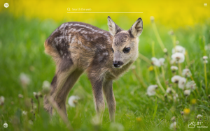 spring animals