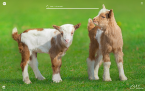 goats
