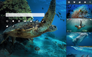 underwater ocean