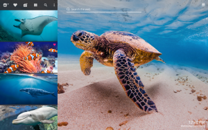 sea animals