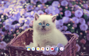 cute kitten with daisy flowers