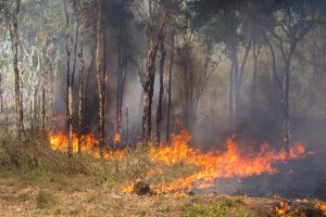 Bushfire in Kakadu National Park, Northern Territory, Australia