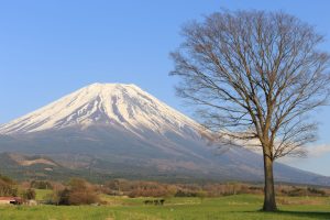Mount Fiji Japan