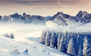 winter snow