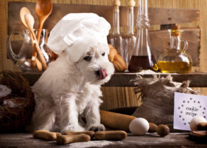 dog treats