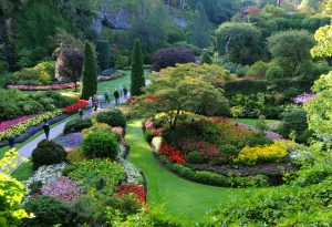 beautiful green garden