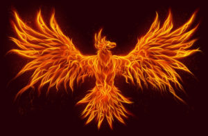 phoenix