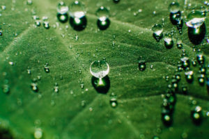 water