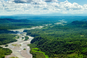The Amazon Rainforest, South America