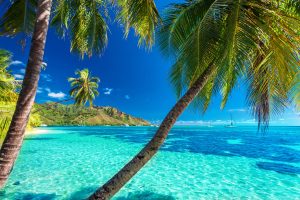 tropical beach