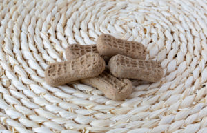 bite sized dog treats