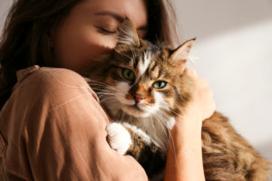 cat