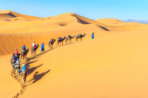 sahara desert