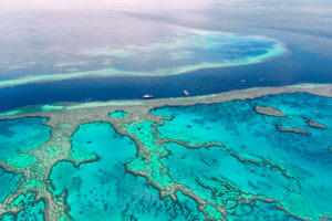 the great barrier reef